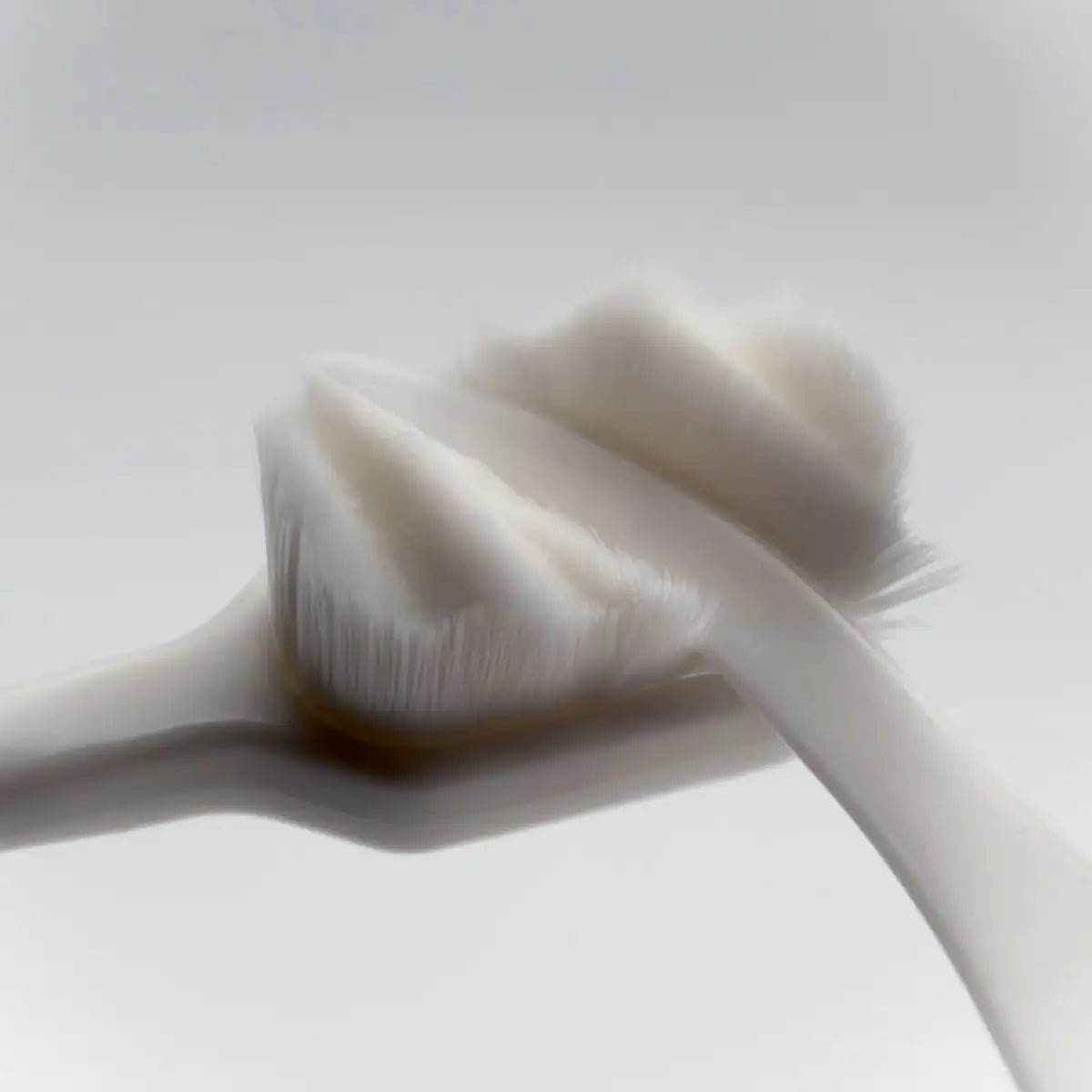 Soft Toothbrush - Lephelia